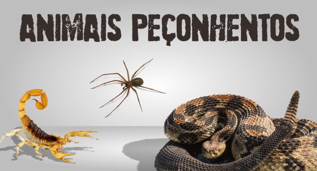 Manejo e Cuidados com Animais Peçonhentos