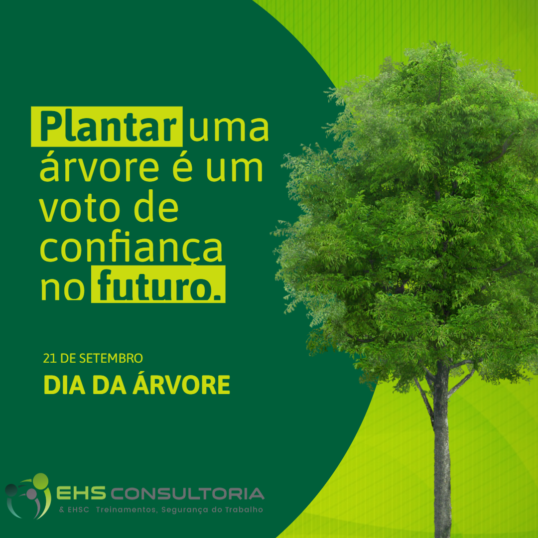 Dia da Árvore 